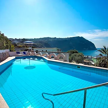Citara Forio di Ischia