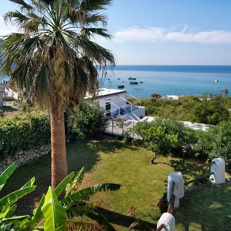 Citara Отель Форио